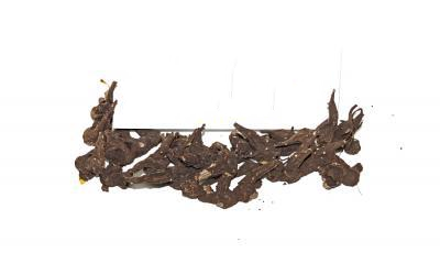 Аконіт Джунгарський Aconitum Soongaricum, Корінь