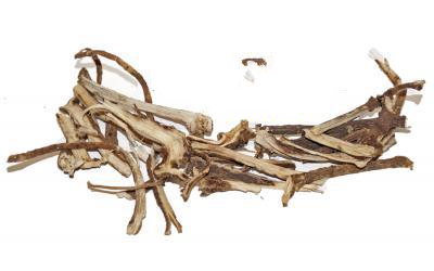 Алтея Лікарська Althaea Officinalis, Корінь