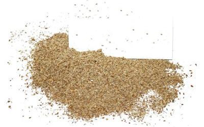 Аніс Звичайний (Бедренец Анісовий) Pimpinella Anisum (Anisum Vulgare Gaertn), Насіння