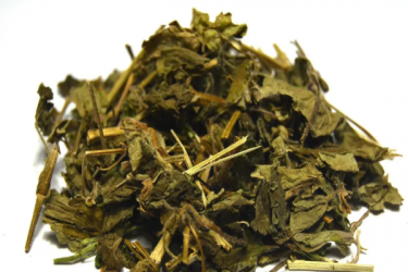 Розхідник звичайний Glechoma hederacea