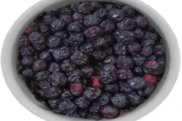 Чорниця Vaccinium myrtillus