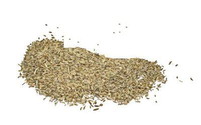 Фенхель Звичайний Foenículum Vulgare, Плоди