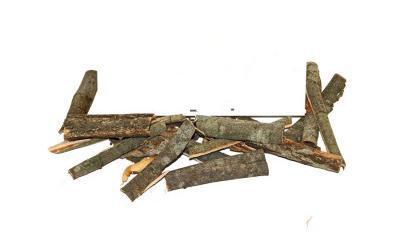 Верба Біла, Кора