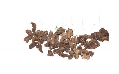 Альпінія Лікарська (Калган) Alpinia Officinarum, Корінь