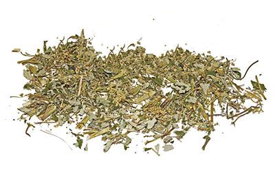 Гадючник В'язолистий (Таволга) Filipendula Ulmaria, Трава