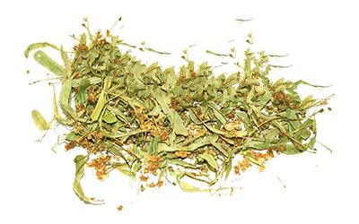 Липа Tilia, Квітки