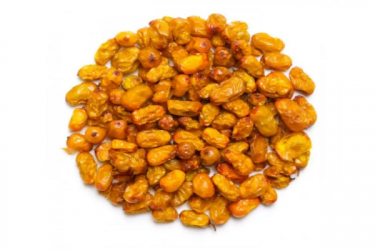 Обліпиха Hippophae rhamnoides