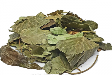 Плющ листья