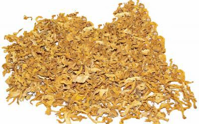 Соняшник Helianthus Annuus, Пелюстки