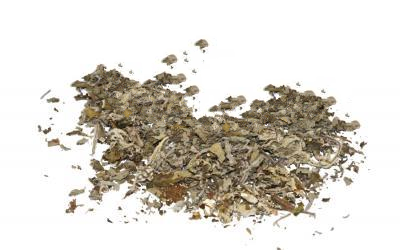 Собача Кропива Звичайна (Пустирник) Leonurus Cardiaca, Трава