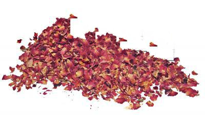 Шипшина Французька (Троянда Кримська) Rosa Gallica, Квітки