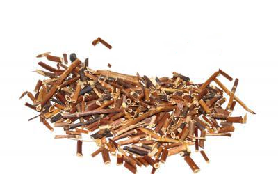 Вовче Тіло Болотяне (Шабельник) Comarum Palustre, Коріння