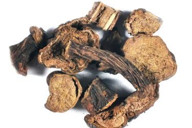 Щавель кінський Rúmex confértus