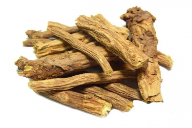 Шоломниця байкальська Scutellaria baicalensis