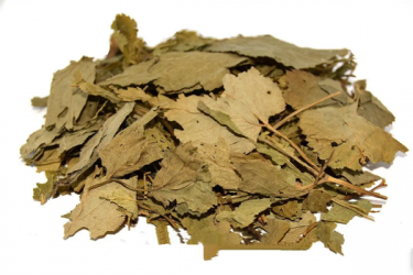 Яглиця звичайна Aegopodium podagraria, трава