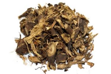 Солодка Glycyrrhiza glabra, корінь