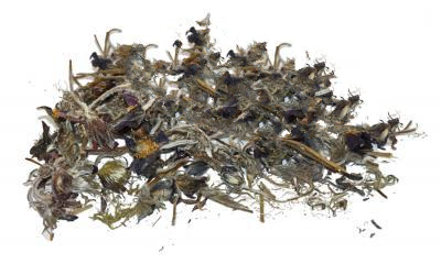 Сон-Зілля (Простріл Розкритий) Pulsatilla, Трава