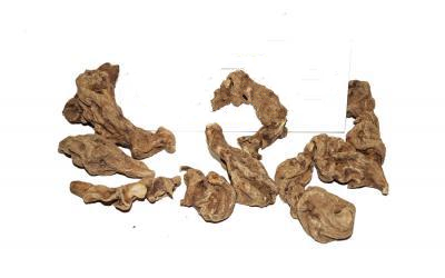 Соняшник Бульбистий (Топінамбур) Helianthus Tuberosus, Корінь