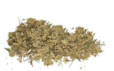 Деревій Звичайний Achillea Millefolium, Квітки