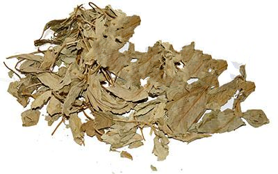 Бобівник Трилистий (Вахта Трилиста) Menyanthes Trifoliata, Трава