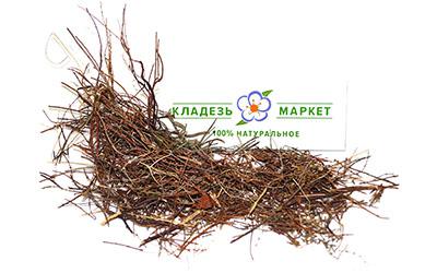 Вереск Calluna Vulgaris Трава