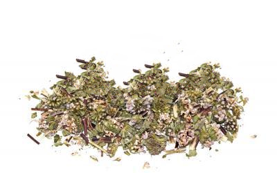 Залізняк Бульбистий Phlomoides Tuberosa, Квітки