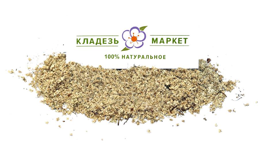 Бузина Чорна Sambucus Nigra, Квітки