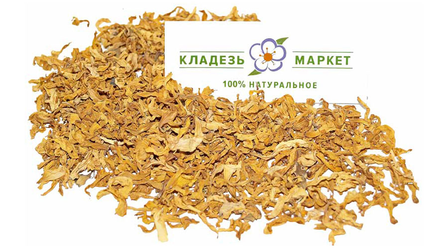 Соняшник Helianthus Annuus, Пелюстки