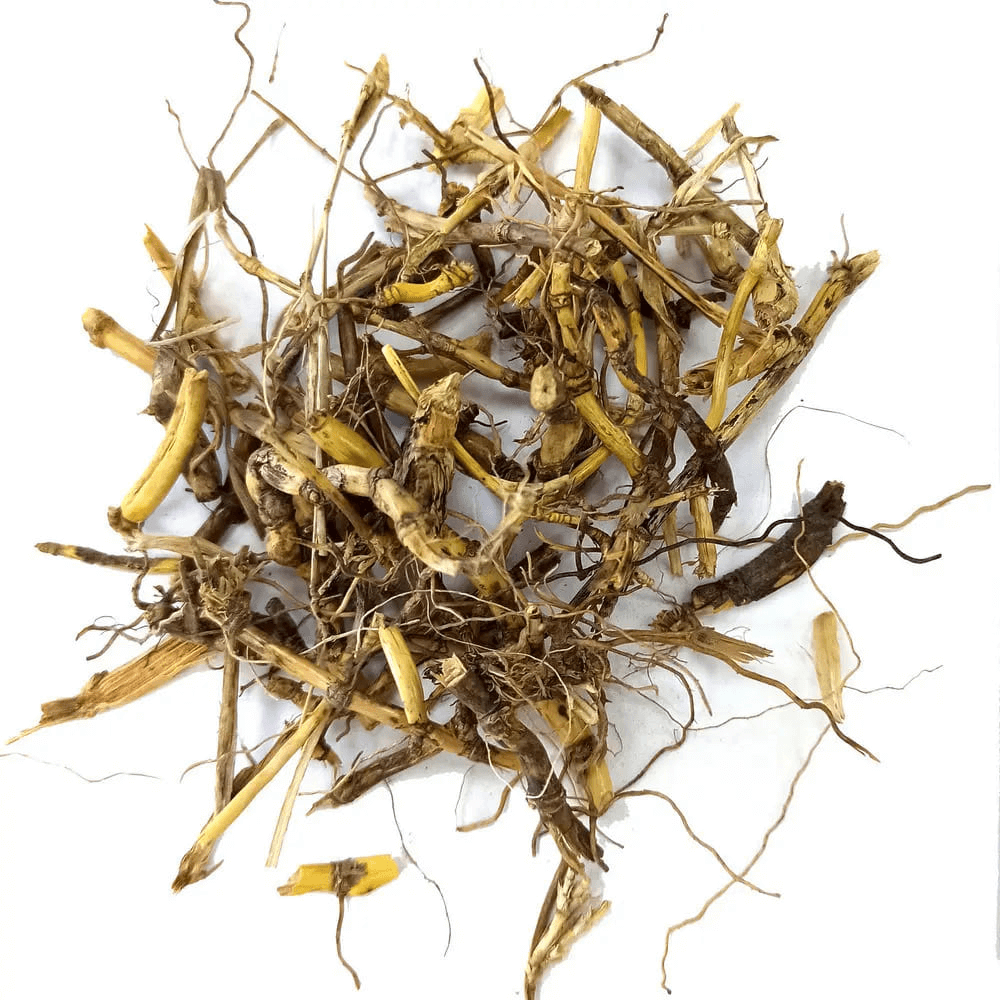 Пирій Elytrígia répens